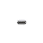 Apple USB-C to USB Adapter - Image 3